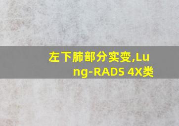 左下肺部分实变,Lung-RADS 4X类